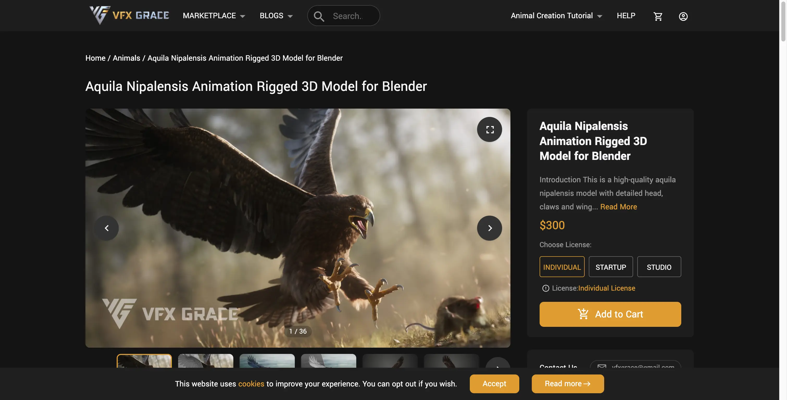 VFX Grace - Aquila Nipalensis Animation Rigged 3D Model